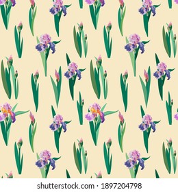 The pattern of flowers and buds of iris