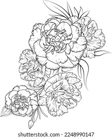 Pattern and flowers carnation
