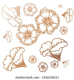 pattern of flowers isolated icon vector illustration design