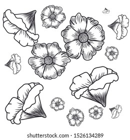 pattern of flowers isolated icon vector illustration design