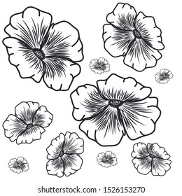 pattern of flowers isolated icon vector illustration design