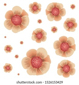 pattern of flowers isolated icon vector illustration design