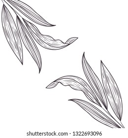 pattern flowers and leafs isolated icon