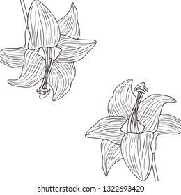 pattern flowers and leafs isolated icon