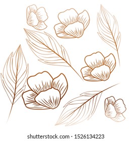 pattern flowers with leafs isolated icon vector illustration design