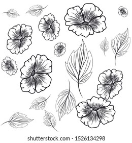 pattern flowers with leafs isolated icon vector illustration design