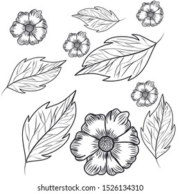 pattern flowers with leafs isolated icon vector illustration design