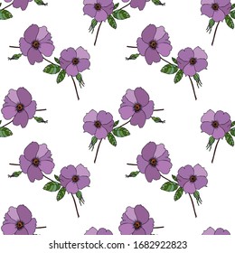 Patrón de flores y hojas sobre un fondo blanco. Para el diseño y la decoración variados. Flores dibujadas a mano en estilo vintage.Flores rosas. Dogrosa.