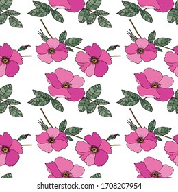 Pattern of flowers and leaves on a white background. For various design and decoration. Hand-drawn flowers in vintage style. Pink flowers. Dogrose.