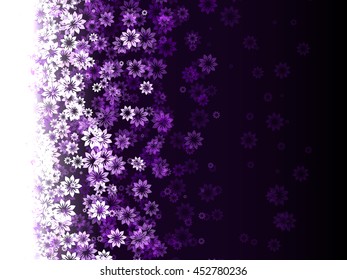 pattern of flowers on a purple background