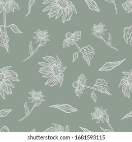 pattern flowers plants herbs echinacea medicinal illustration background seamless graphic vector textile print wrapper