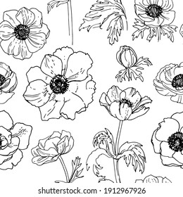 Pattern Flowers vector line drawing. Anemone drawn by a black line on a white background.