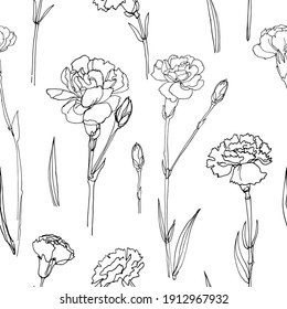 Pattern Flowers vector line drawing. Carnation drawn by a black line on a white background. 