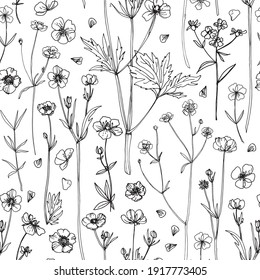 Pattern Flowers vector line drawing. Wildflowers. Buttercups. Wedding decorations.