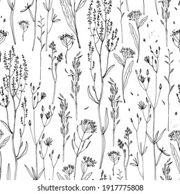 Pattern Flowers vector line drawing. Field herbs and flowers