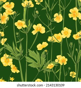 Pattern Flowers yellow vector line drawing. Wildflowers. Buttercups. Wedding decorations.