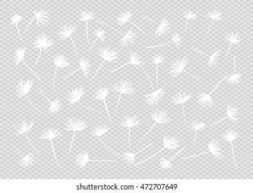 Pattern of Flying of dandelion seeds. Hand drawing illustration.