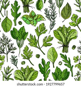 Pattern food color herbs. Spices. Italian herb drawn black lines on a white background. Vector illustration. Basil, Parsley, Rosemary, Sage, Bay, Thyme, Oregano, Mint