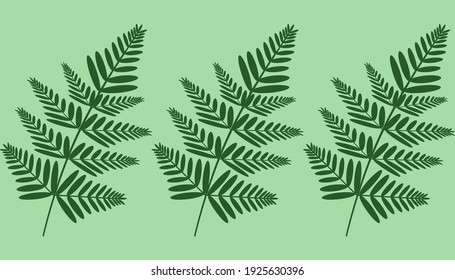 Pattern of forest ferns. An infinite picture.