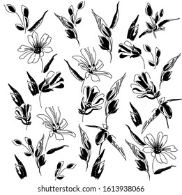 Pattern of forest flower stellaria. Background based on inflorescences, leaves and buds of delicate spring flowers