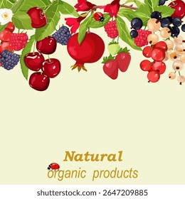 Padrão de floresta, bagas de jardim e romã em um fundo isolado com lugar para o seu texto. Ilustração vetorial. Modelo para suco, doces, cosméticos, web design.