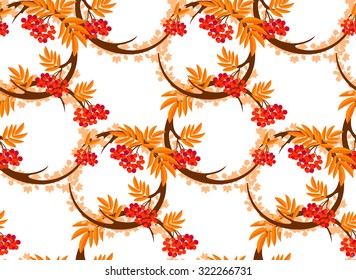 The pattern in the form of a circle formed by the branches and berries of rowan. The pattern in the autumn style on a white background. Also on the background can be seen maple leaves.