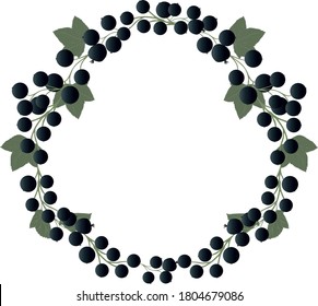 Pattern in the form of a circle with ripe black currant berries on branches with green leaves. For postcards, stickers, and labels.