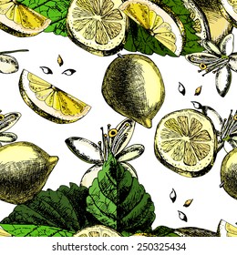 Pattern with fruit, flowers and leaves of lemon on a white background.  Illustrations. Vector.