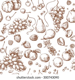 Pattern with  fruits. Hand drawn sketch of apple, pear, grape, quince, plum, apricot, cherry and berries. Seamless texture. 