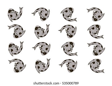 pattern with fur seals