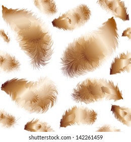 pattern golden feathers , isolated on white background vector