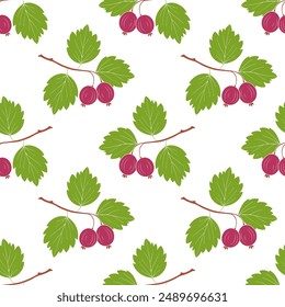 Pattern gooseberries on branch with leaves and ripe red berries, on white background.