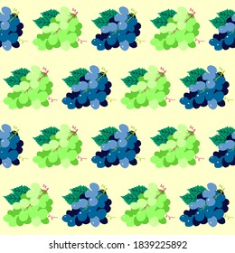 Pattern grapes blue and grapes green, hand drawn vector illustration