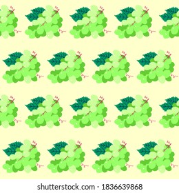 Pattern grapes green, hand drawn vector illustration