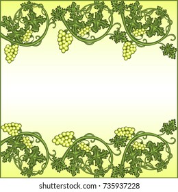 pattern with grapes and vine on light background