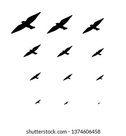 Pattern graphic of black animals. Group birds vector background 