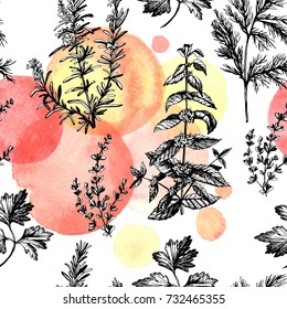 Pattern with graphic fragrant plants.  Hand drawing. Seamless for fabric design, gift wrapping paper and printing and web projects.