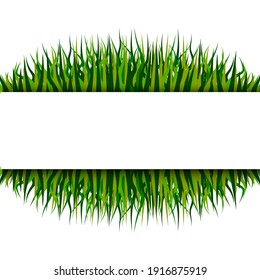 Pattern with grass frame. Vector illustration design. Nature background vector. Stock image. EPS 10.