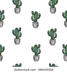 pattern with green cactuses in flowerpot on white background.  