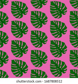 pattern green exotic leaves monstera on a pink background