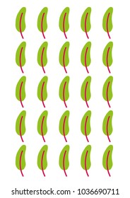 pattern of green feathers with a pink strip