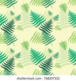 Pattern green fern