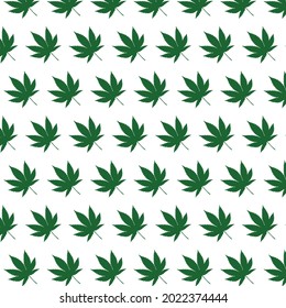 Patrón con cáñamo verde sobre fondo blanco. Concepto de cannabis medicinal.