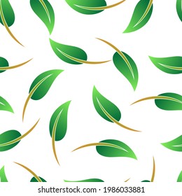 Pattern green leaves background  vector design