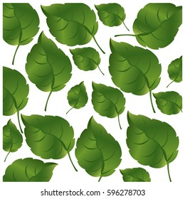 pattern green leaves with branch nature icon vector illustration