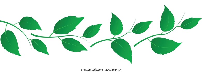 Pattern green leaves natural branches isolated on white background. Design set of leaf in to use in environmental or health logos. Elements for eco and bio logos