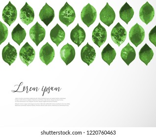 Pattern with green leaves on white background and place for your text.