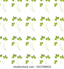 Pattern with green leaves on a white background. Simple vector illustration in color.