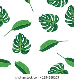 Pattern green leaves of tropical plant, palm and tree on white background. Seamless pattern green foliage monstera tree, natural background. Exotic rainforest plants and jungle garden
