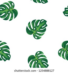 Pattern green leaves of tropical plant and tree on white background. Green foliage monstera tree seamless pattern background. Exotic rainforest plants